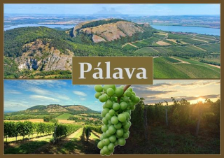 66000587 Pohlednice Pálava