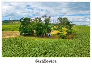66000906 Pohlednice Strážovice