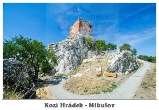 66000909 Pohlednice Kozí hrádek - Mikulov
