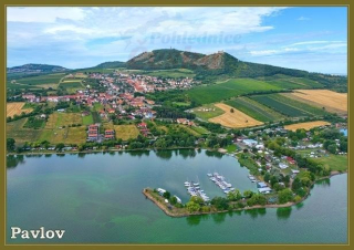 66000578 Pohlednice Pavlov