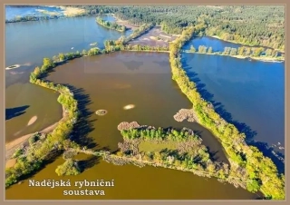 66000629 Pohlednice Nadějská rybniční soustava