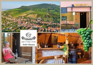 66000669 Pohlednice Sklep u Elišky a Toníka – Dolní Věstonice