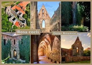 66000698 Pohlednice Rosa coeli - Dolní Kounice