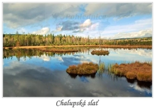 66000767 Pohlednice Chalupská slať