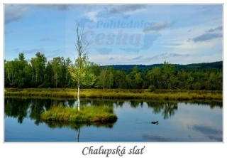 66000768 Pohlednice Chalupská slať