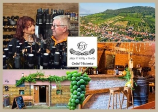 66000848 Pohlednice Sklep u Elišky a Toníka – Dolní Věstonice